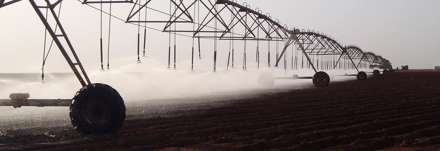 Irrigation System Solutions - From Initial Stage to Final Execution